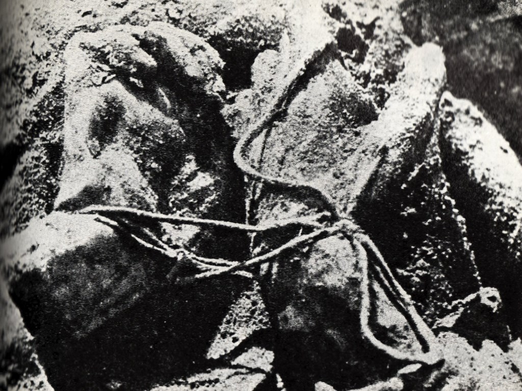 Zdjęcie z 1943 roku z ekshumacji ciał polskich oficerów zamordowanych przez NKWD w Katyniu w 1940