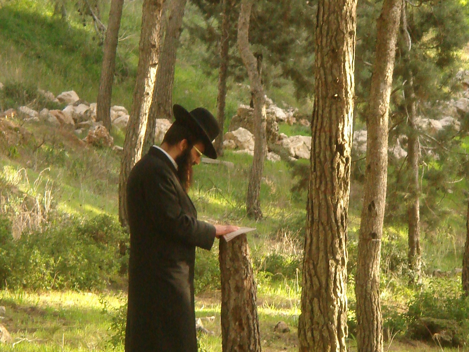 Bracławski chasyd w Jerozolimie w czasie modlitwy